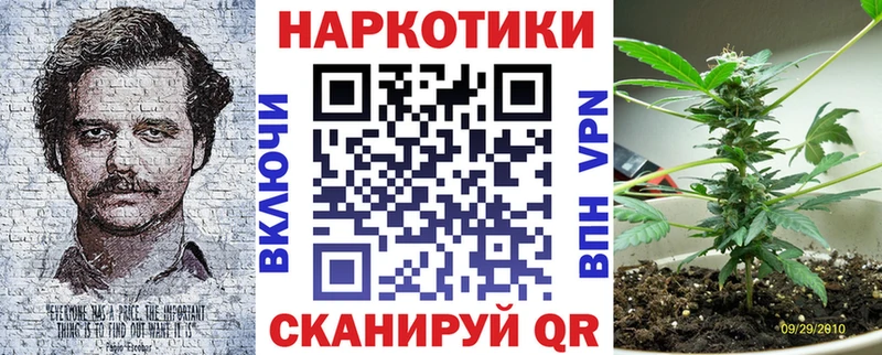 Купить наркотики сайты Пенза Конопля СК Псилоцибиновые грибы ГАШ