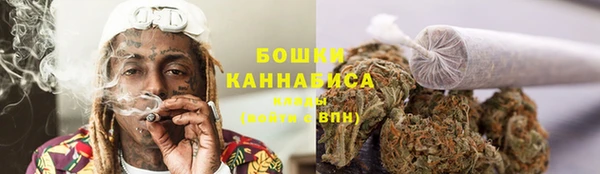 спайс Чита