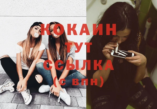 спайс Чита