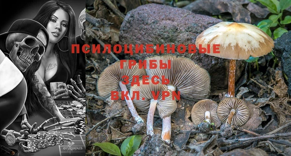 трава Нижний Тагил