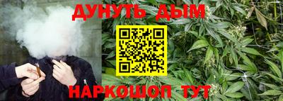 МДПВ Заводоуковск