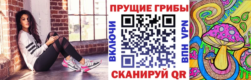 Псилоцибиновые грибы Cubensis  Пенза 